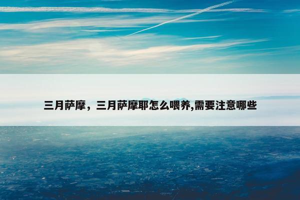 三月萨摩，三月萨摩耶怎么喂养,需要注意哪些