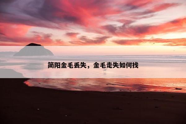 简阳金毛丢失，金毛走失如何找