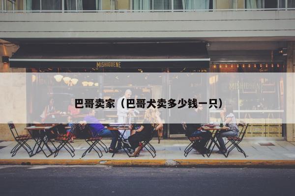 巴哥卖家（巴哥犬卖多少钱一只）