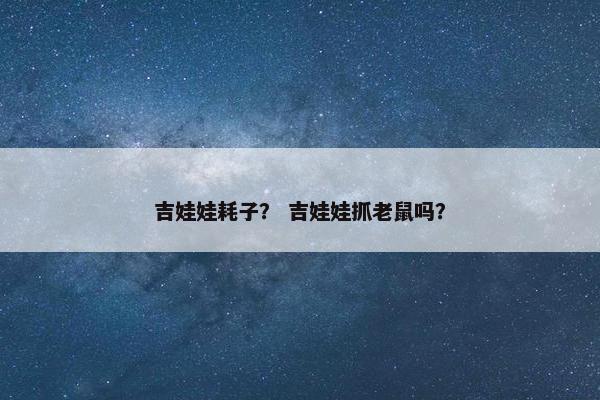 吉娃娃耗子？ 吉娃娃抓老鼠吗？