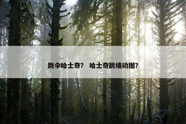 跳伞哈士奇？ 哈士奇跳墙动图？
