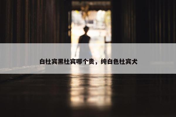 白杜宾黑杜宾哪个贵，纯白色杜宾犬