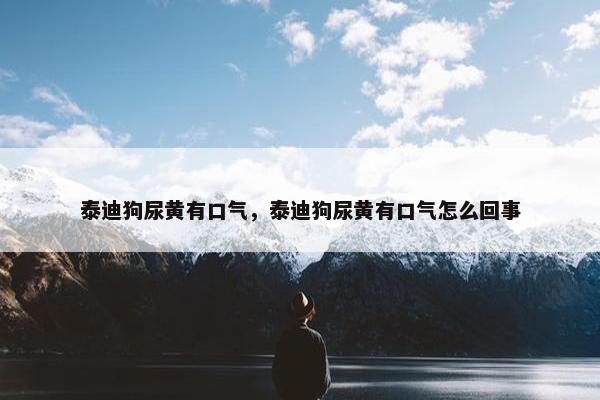 泰迪狗尿黄有口气，泰迪狗尿黄有口气怎么回事