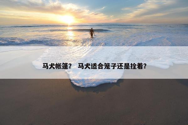 马犬帐篷？ 马犬适合笼子还是拴着？