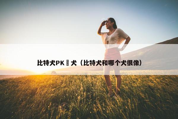 比特犬PK嫲犬（比特犬和哪个犬很像）