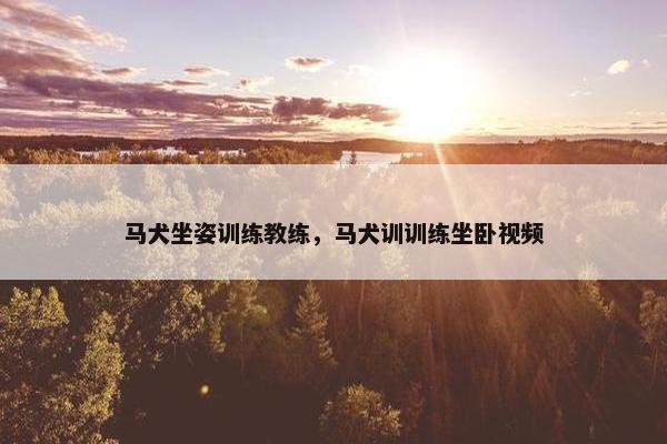 马犬坐姿训练教练，马犬训训练坐卧视频