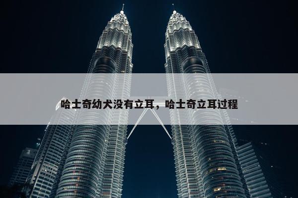 哈士奇幼犬没有立耳，哈士奇立耳过程