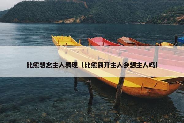 比熊想念主人表现（比熊离开主人会想主人吗）