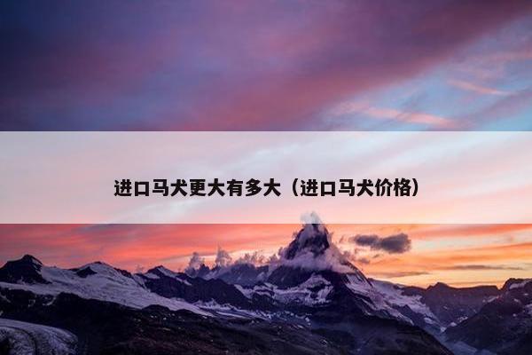 进口马犬更大有多大（进口马犬价格）