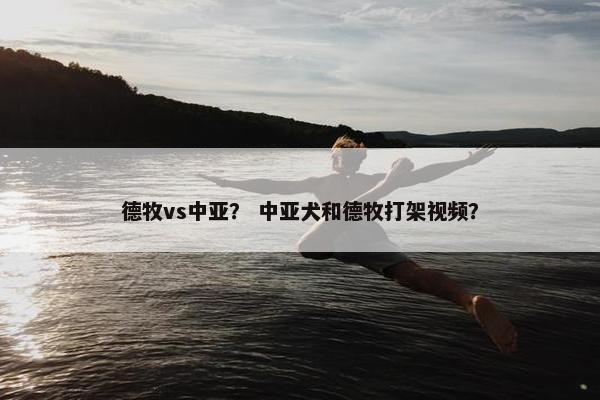 德牧vs中亚？ 中亚犬和德牧打架视频？