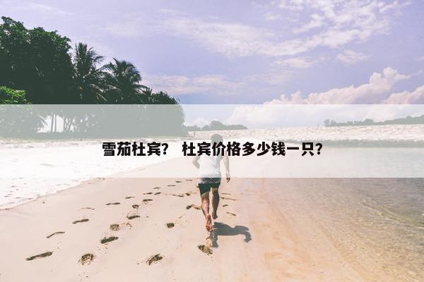 雪茄杜宾？ 杜宾价格多少钱一只？