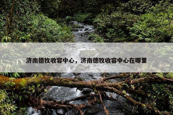 济南德牧收容中心，济南德牧收容中心在哪里