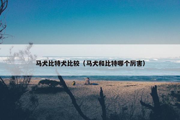 马犬比特犬比较（马犬和比特哪个厉害）