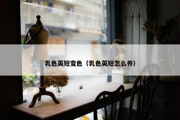 乳色英短变色（乳色英短怎么养）