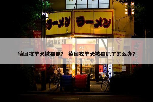 德国牧羊犬被猫抓？ 德国牧羊犬被猫抓了怎么办？