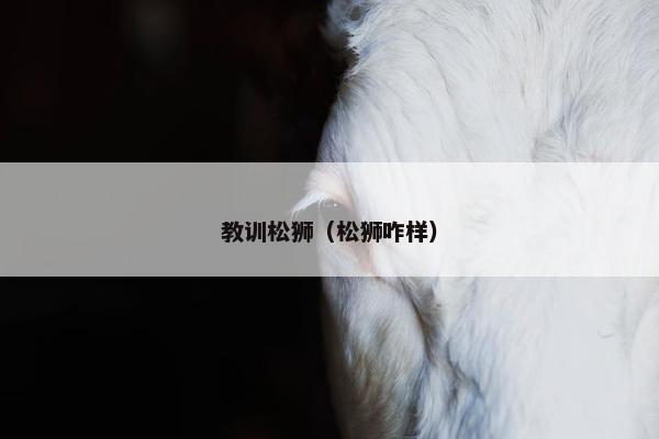 教训松狮（松狮咋样）