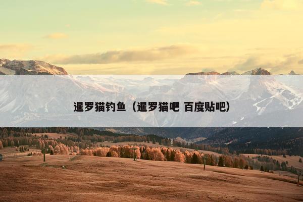 暹罗猫钓鱼（暹罗猫吧 百度贴吧）