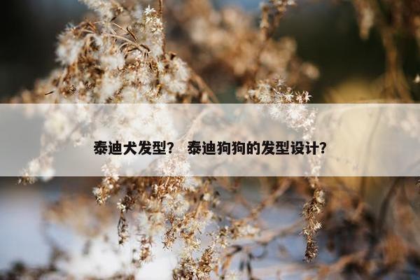 泰迪犬发型？ 泰迪狗狗的发型设计？