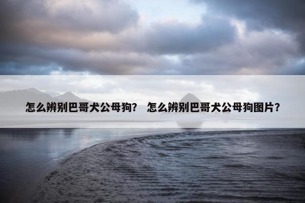 怎么辨别巴哥犬公母狗？ 怎么辨别巴哥犬公母狗图片？