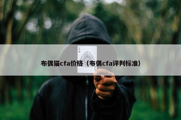 布偶猫cfa价格（布偶cfa评判标准）