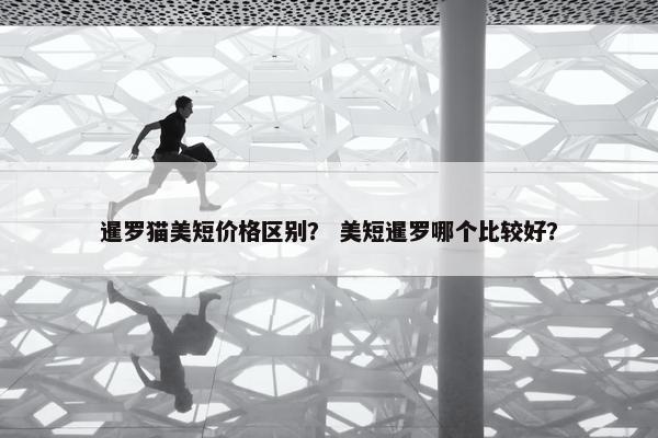 暹罗猫美短价格区别？ 美短暹罗哪个比较好？