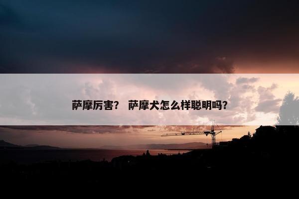 萨摩厉害？ 萨摩犬怎么样聪明吗？