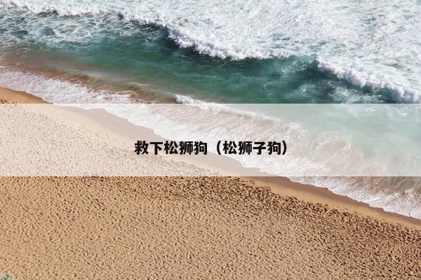 救下松狮狗（松狮子狗）