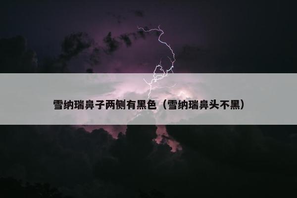 雪纳瑞鼻子两侧有黑色（雪纳瑞鼻头不黑）
