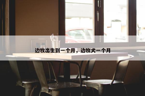 边牧出生到一个月，边牧犬一个月