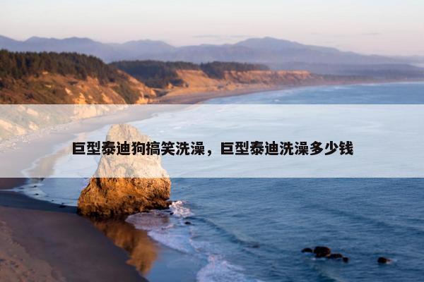 巨型泰迪狗搞笑洗澡，巨型泰迪洗澡多少钱