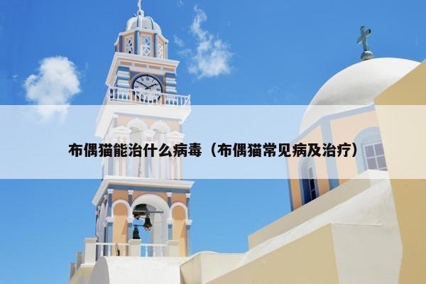 布偶猫能治什么病毒（布偶猫常见病及治疗）