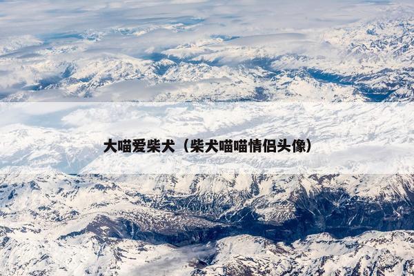 大喵爱柴犬（柴犬喵喵情侣头像）