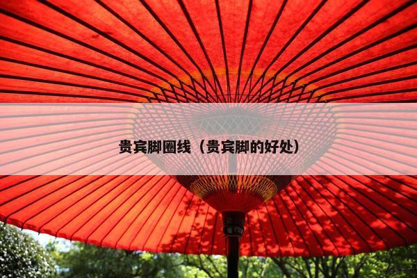 贵宾脚圈线（贵宾脚的好处）