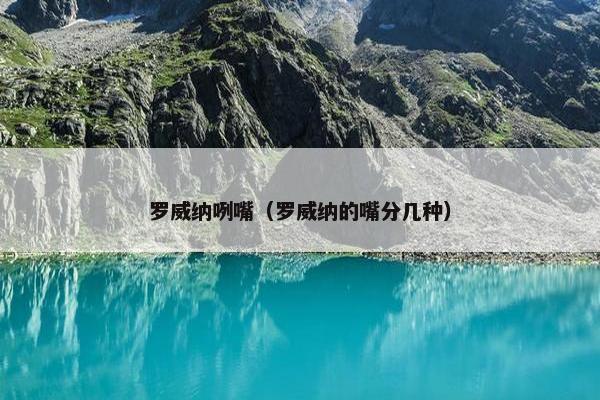 罗威纳咧嘴（罗威纳的嘴分几种）