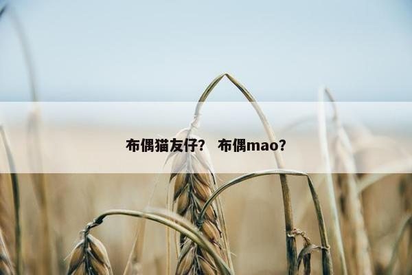 布偶猫友仔？ 布偶mao？