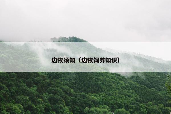 边牧须知（边牧饲养知识）