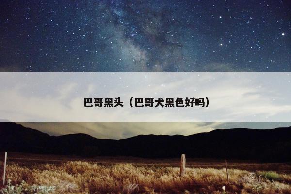 巴哥黑头（巴哥犬黑色好吗）