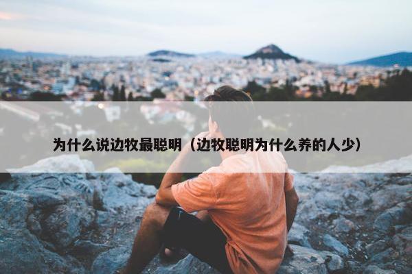 为什么说边牧最聪明（边牧聪明为什么养的人少）