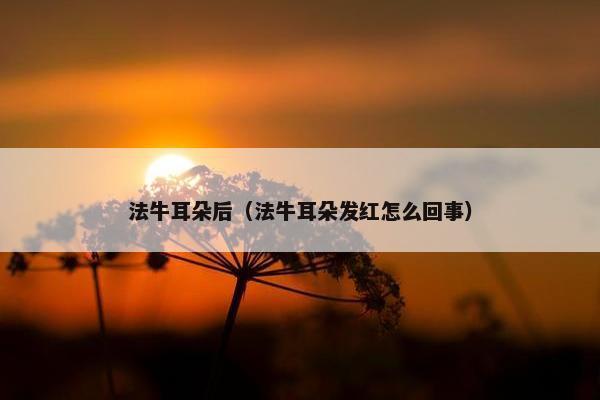 法牛耳朵后（法牛耳朵发红怎么回事）