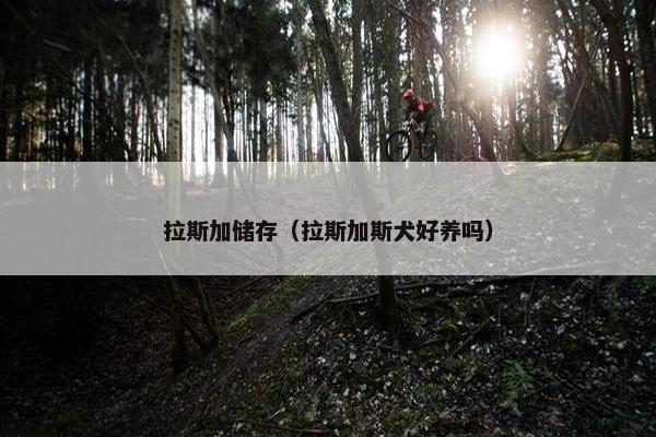 拉斯加储存（拉斯加斯犬好养吗）