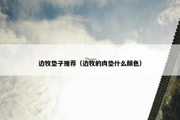 边牧垫子推荐（边牧的肉垫什么颜色）