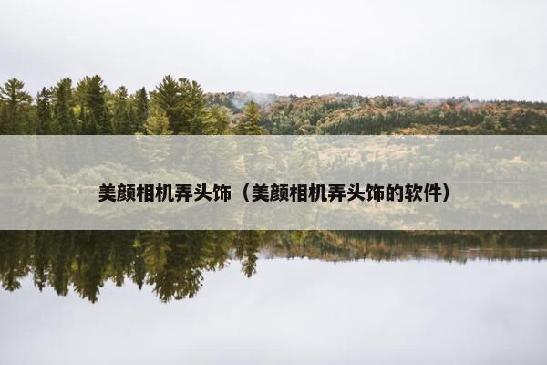 美颜相机弄头饰（美颜相机弄头饰的软件）