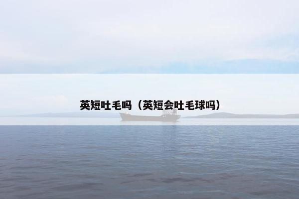 英短吐毛吗（英短会吐毛球吗）