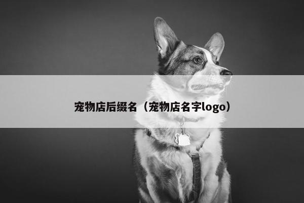 宠物店后缀名（宠物店名字logo）
