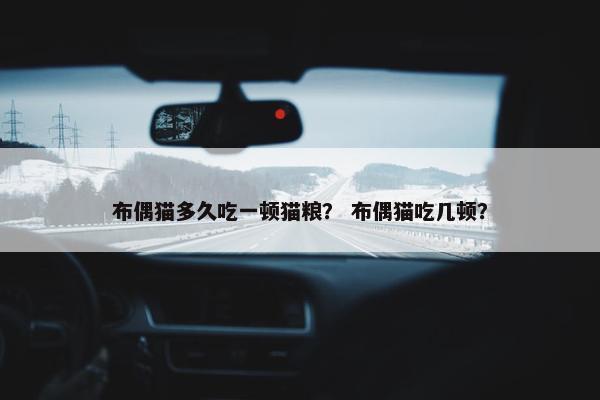 布偶猫多久吃一顿猫粮？ 布偶猫吃几顿？
