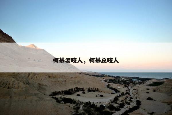 柯基老咬人，柯基总咬人