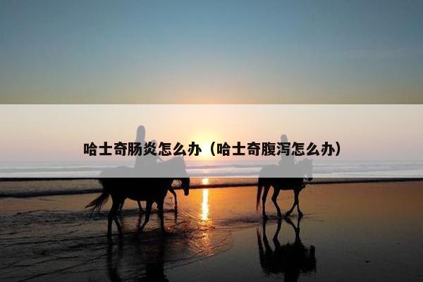 哈士奇肠炎怎么办（哈士奇腹泻怎么办）