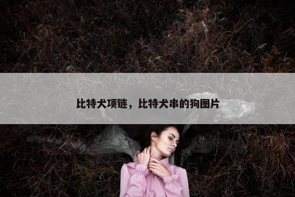 比特犬项链，比特犬串的狗图片