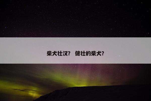 柴犬壮汉？ 健壮的柴犬？