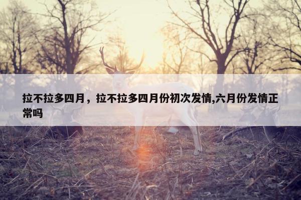 拉不拉多四月，拉不拉多四月份初次发情,六月份发情正常吗